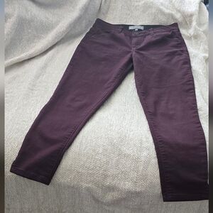 Wit & Wisdom Deep Purple Denim Pants